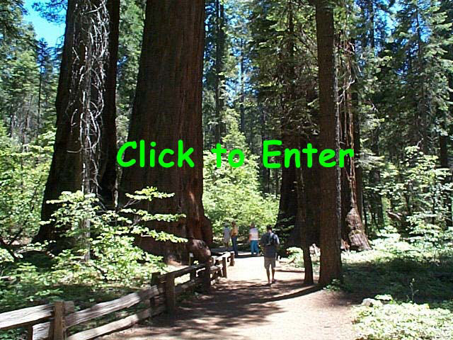 Click photo to enter the website