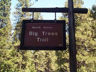 Calaveras Big Trees North Grove Trail
